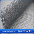 Alta Qualidade Melhor fornecedor Hexagonal Wire Mesh